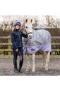 2022 Hy Equestrian StormX Original This Esme 0 Turnout Rug 35094 - Lavender / Grey